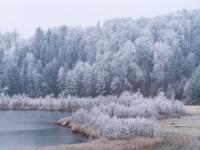 Raureifstimmung am Bärnseegebiet nahe Aschau